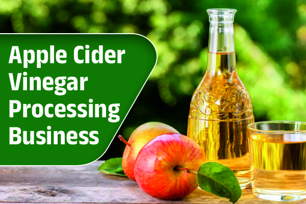 Apple Cider Vinegar Processing Business