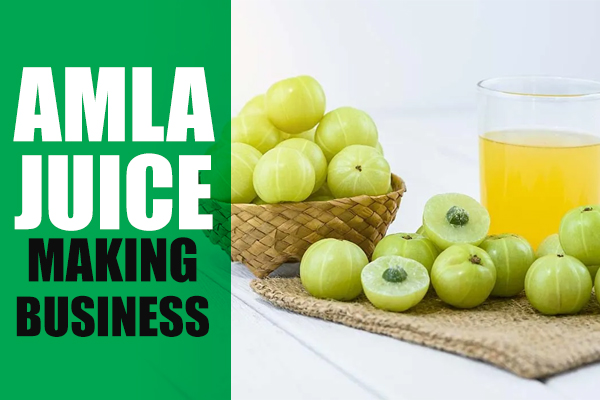 Amla Juice Making Business