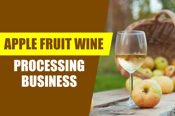 Apple Fruit Wine Processing Business